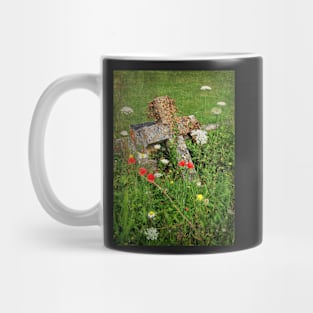 It Is Not Spring For Everyone Mug